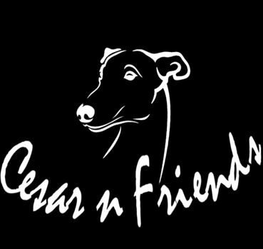cesarandfriends.com